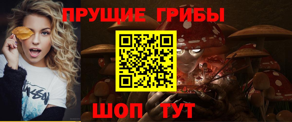 Галлюциногенные грибы прущие грибы  Вход с VPN  Псилоцибиновые грибы MAGIC MUSHROOMS  Кисловодск 